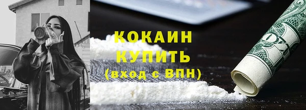 крисы Баксан