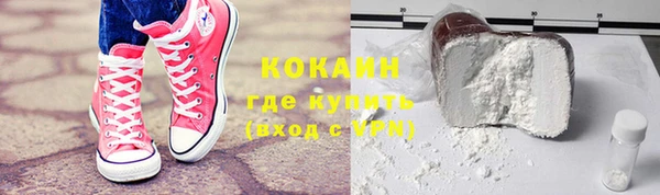 крисы Баксан