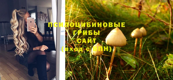 соль ск Семёнов