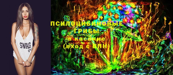 крисы Баксан