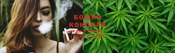 крисы Баксан