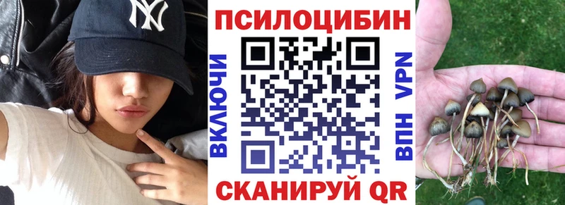 Галлюциногенные грибы Psilocybine cubensis  сайты даркнета клад  Мариинский Посад  хочу  